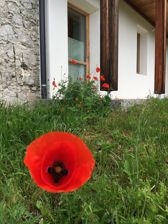 Der Weber - Haus Der Zukunft Apartment Hermagor-Pressegger See Bagian luar foto